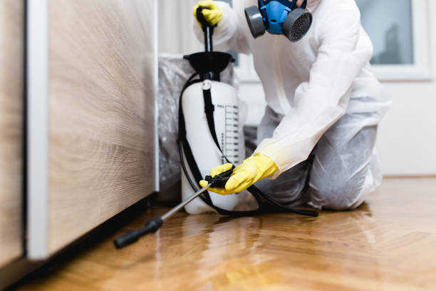 Best Spider Control Near Me  in Marina Del Rey, CA