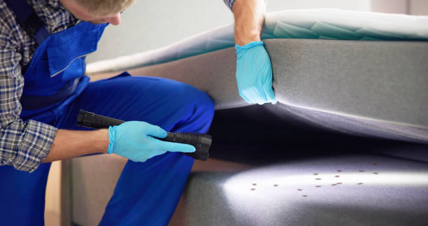  Marina Del Rey, CA Pest Control Pros