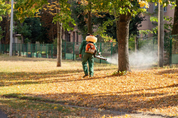 Trusted Marina Del Rey, CA Pest Control Experts